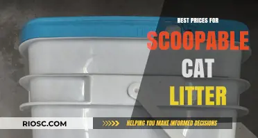 Top Deals on Scoopable Cat Litter: Save Big on the Best Brands