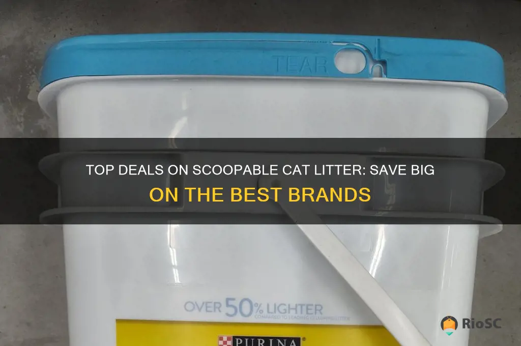 best prices for scoopable cat litter