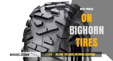 Unbeatable Deals: Where to Find the Best Prices on Bighorn Tires