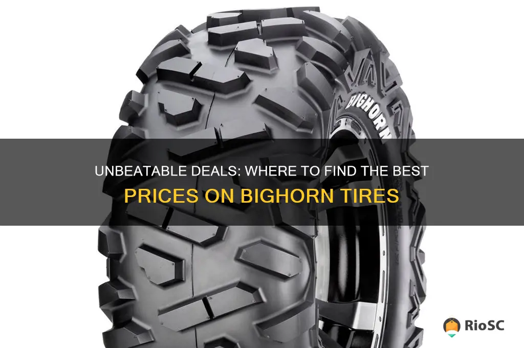best prices on bighorn tires