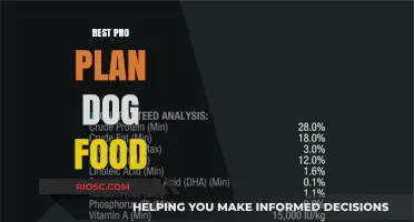 Top-Rated Pro Plan Dog Food Options for Optimal Canine Health and Nutrition