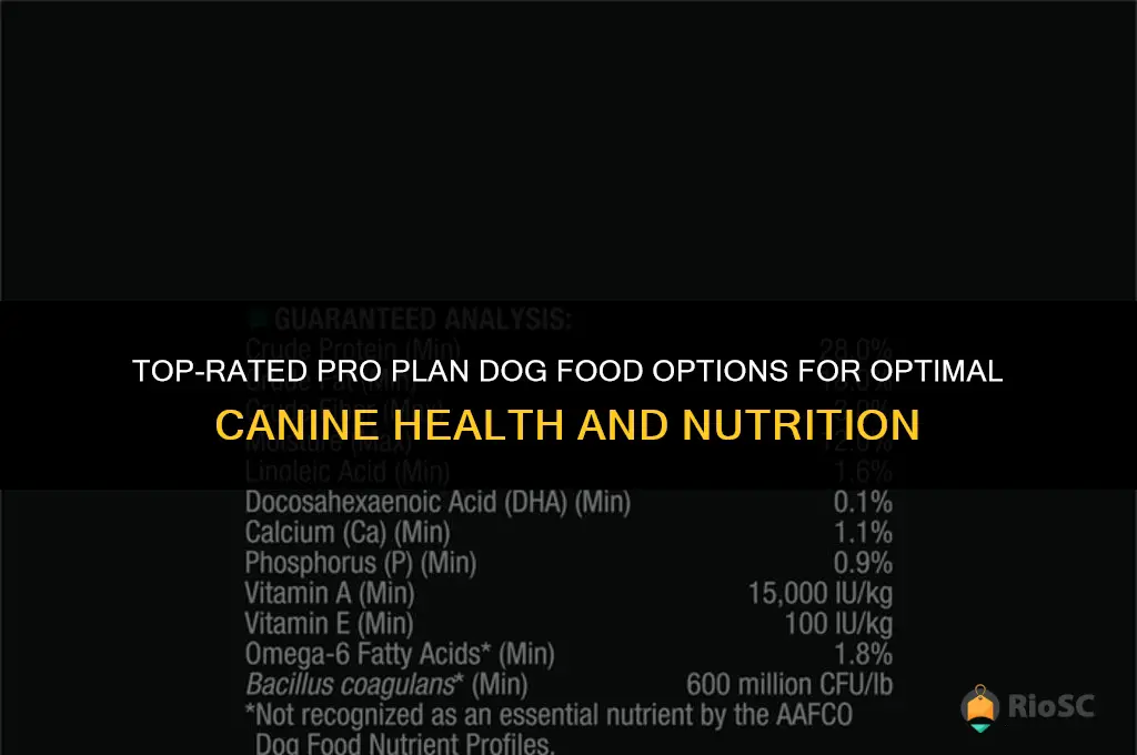 best pro plan dog food