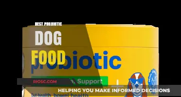 Unleashing Gut Health: A Guide to the Best Probiotic Dog Foods for Optimal Wellness