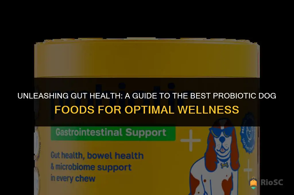 best probiotic dog food