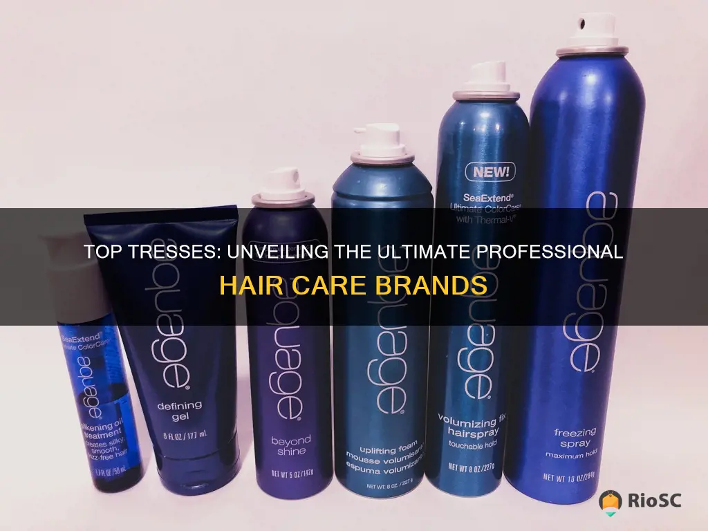 best professional hair brand