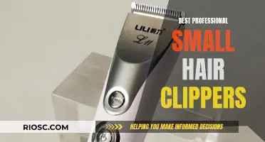 Compact Power: Discovering the Best Professional Small Hair Clippers