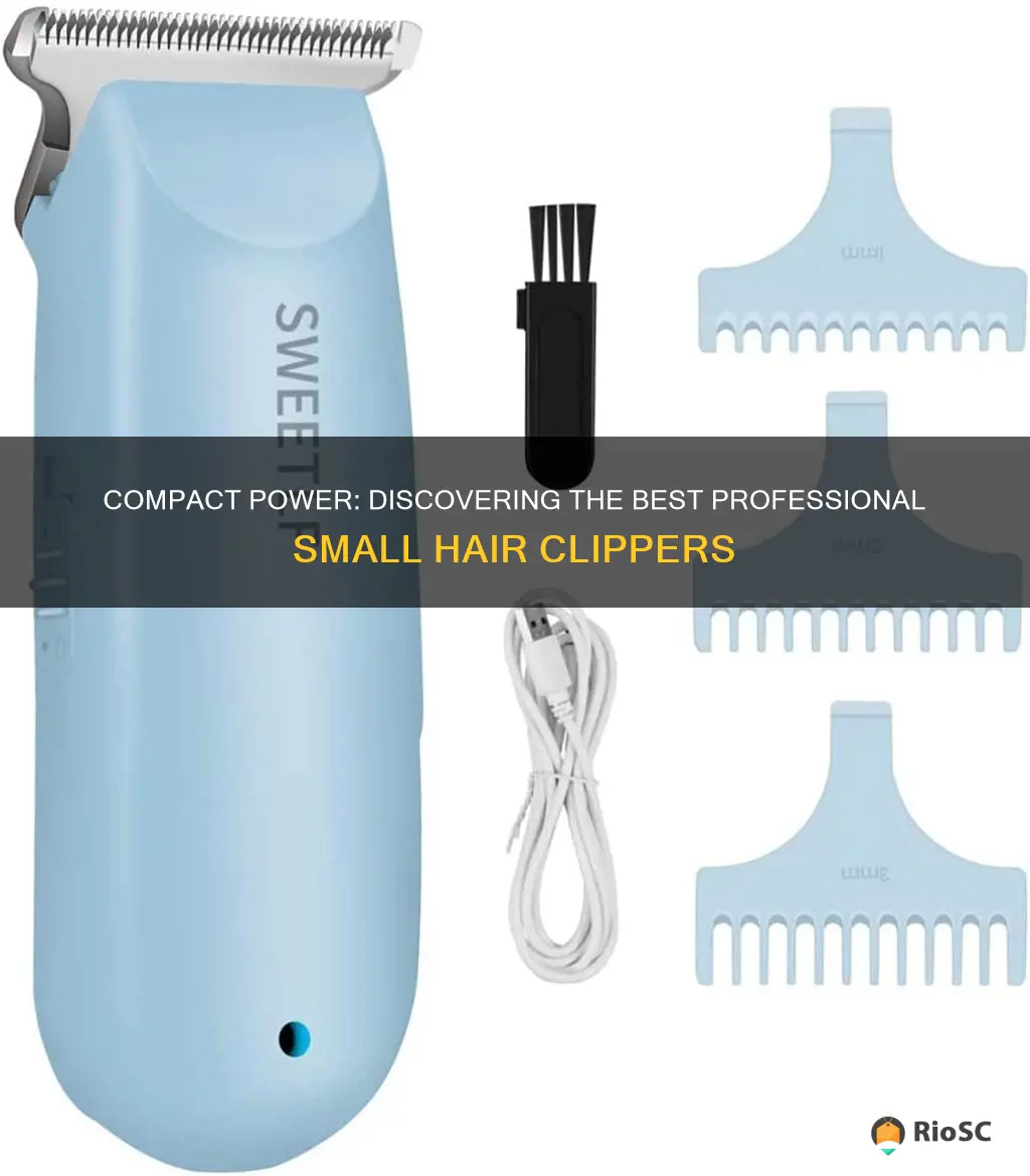 best professional small hair clippers