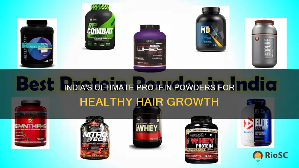 best protein powder for hair in india