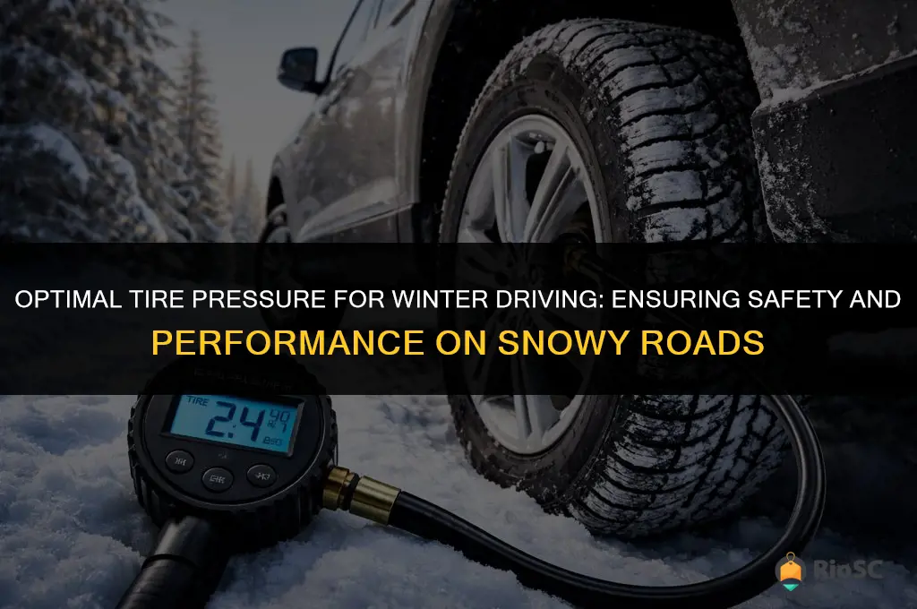 best psi for tires in winter