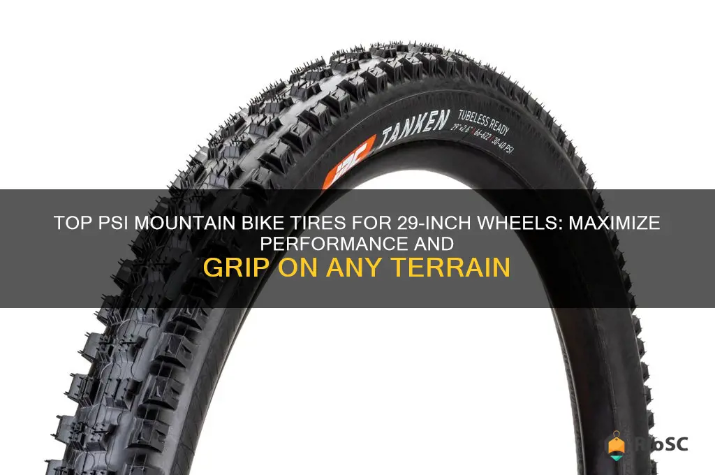 best psi mountain bike tires 29