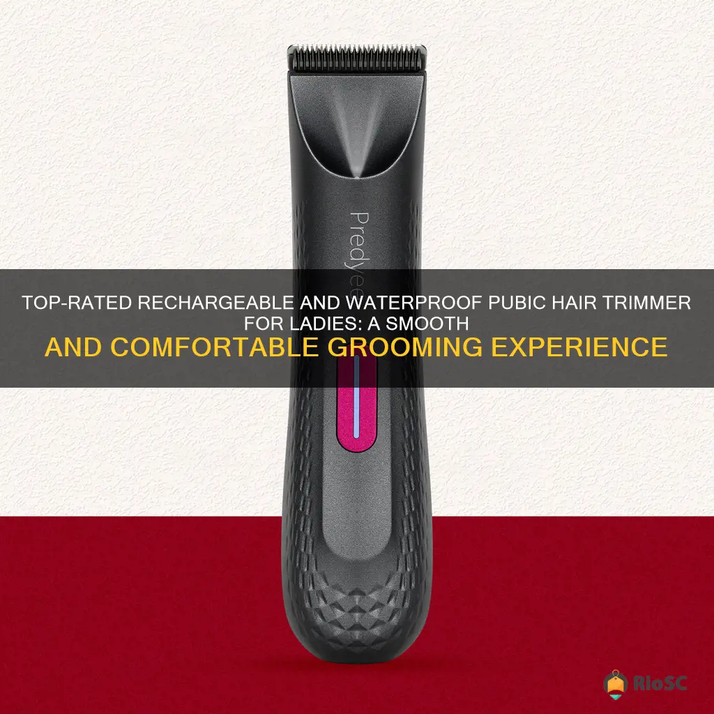 best pubic hair trimmer for ladies rechargeable waterproof