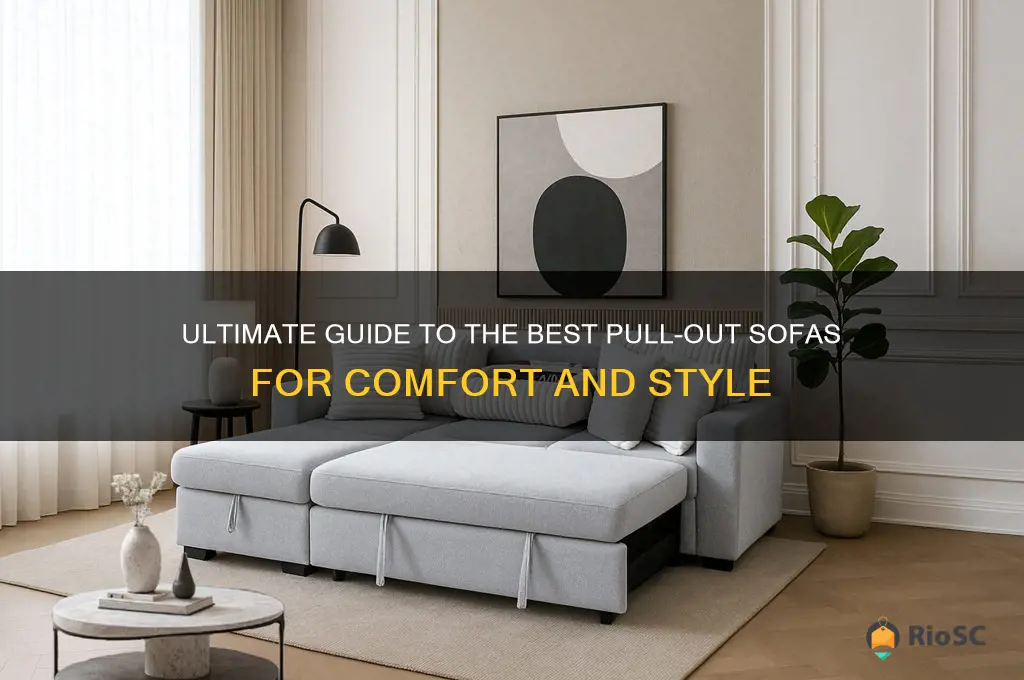 best pull out sofas
