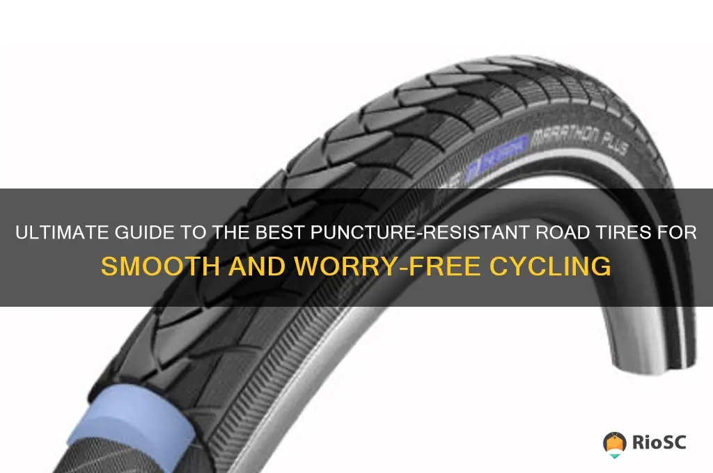 best puncture resistance road tires