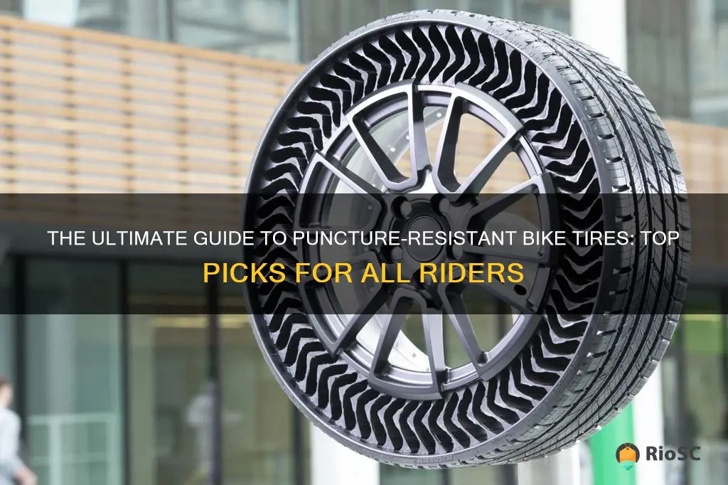 best puncture resistant bike tires