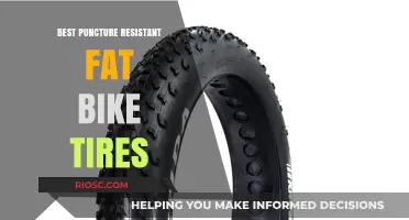 Ultimate Guide to the Most Puncture-Resistant Fat Bike Tires for Unstoppable Off-Road Adventures