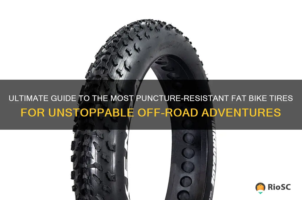best puncture resistant fat bike tires