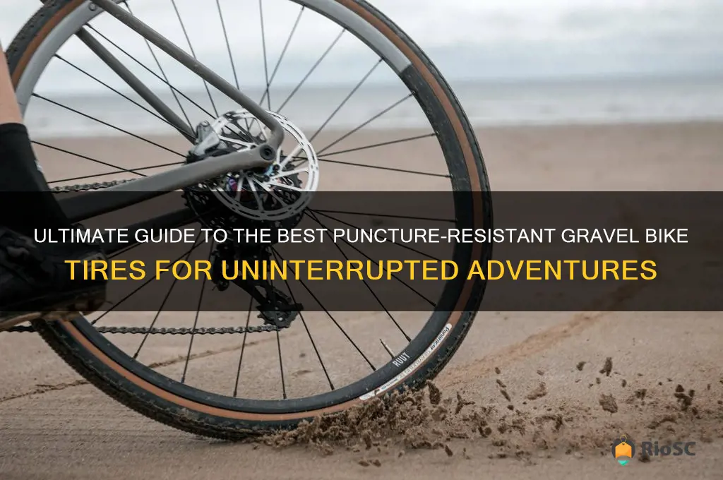 best puncture resistant gravel bike tires