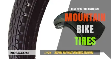 Top Puncture-Resistant Mountain Bike Tires for Uninterrupted Trail Adventures