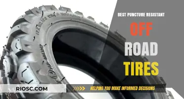 Ultimate Guide to the Best Puncture-Resistant Off-Road Tires for Unstoppable Adventures