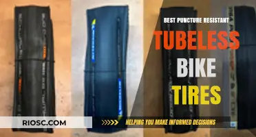 Ultimate Guide to the Most Puncture-Resistant Tubeless Bike Tires for Smooth Rides