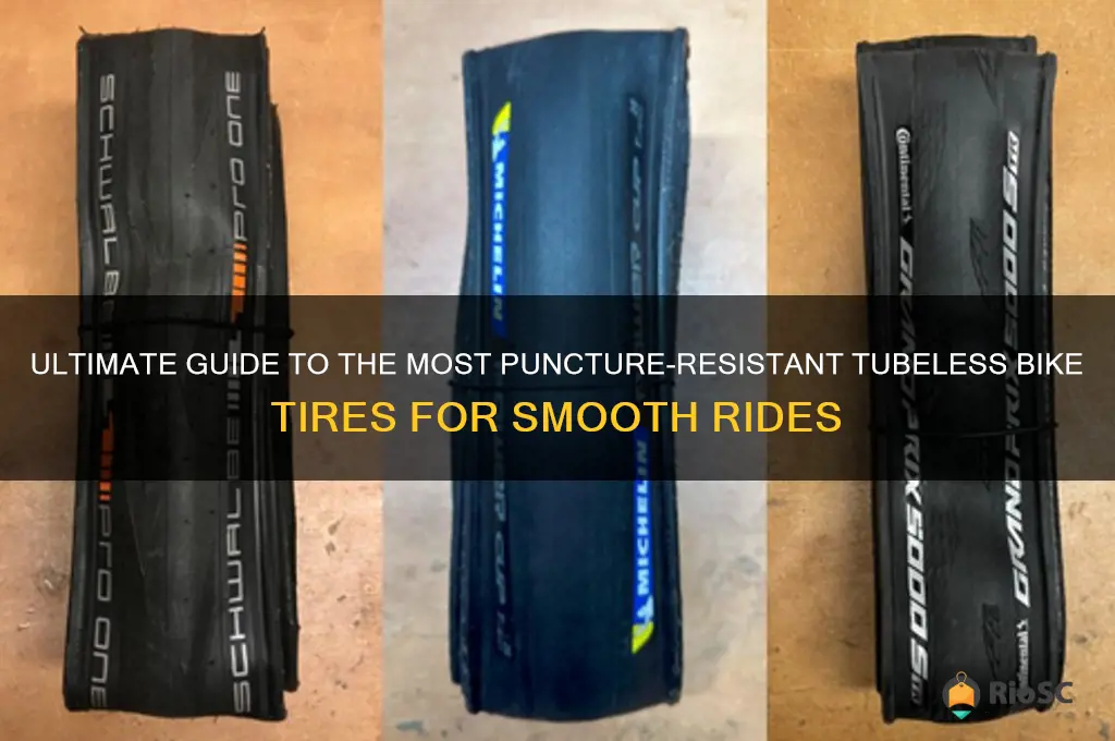 best puncture resistant tubeless bike tires