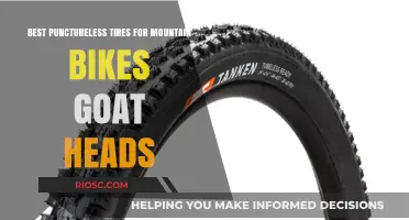Goat Head-Proof Mountain Biking: Top Punctureless Tires for Thorny Trails