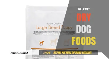 Top-Rated Puppy Dry Dog Foods for Healthy Growth and Development