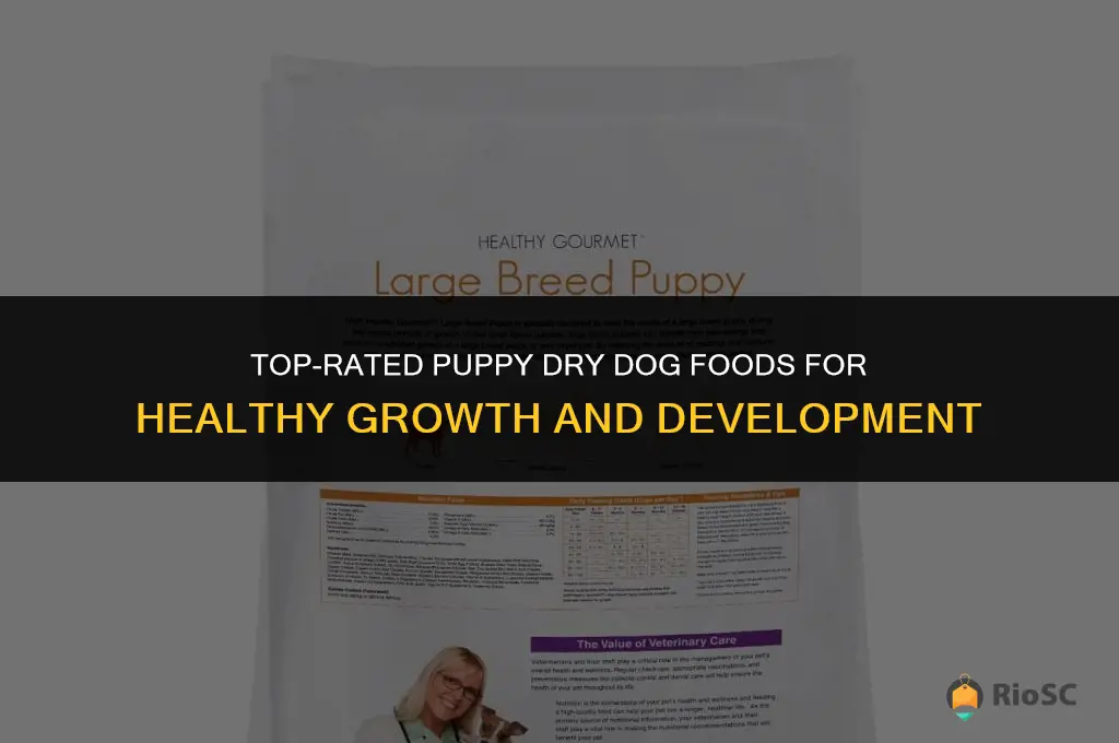 best puppy dry dog foods