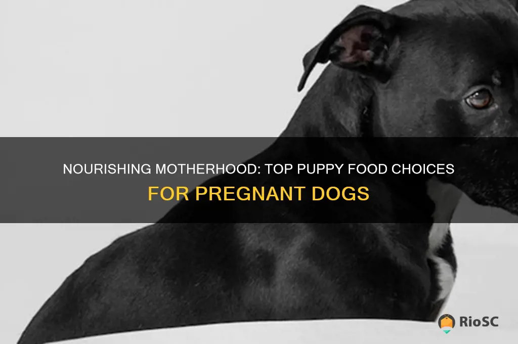 best puppy food for pregnant dog
