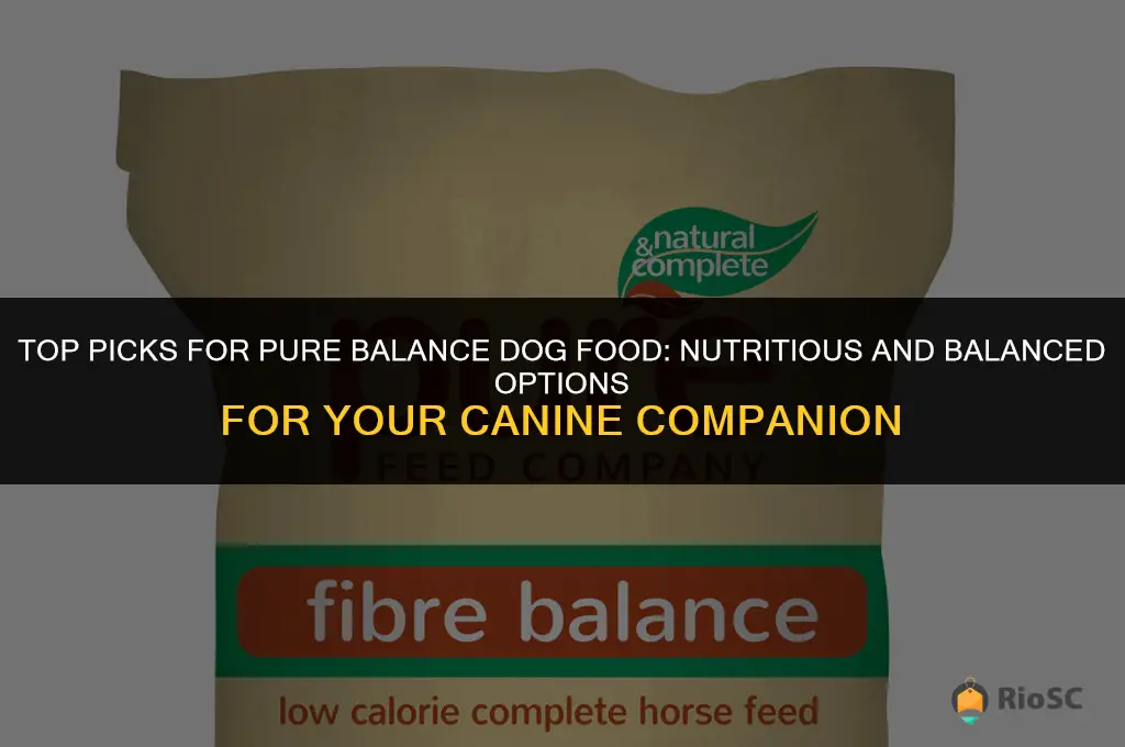 best pure balance dog food