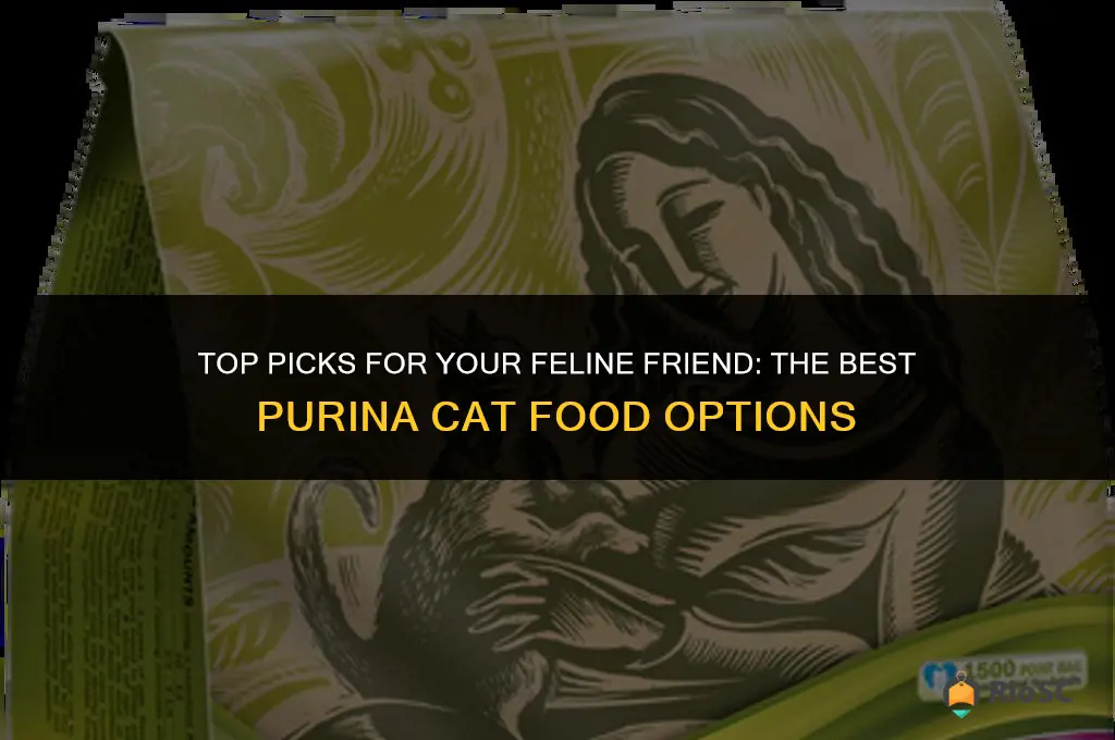 best purina cat food