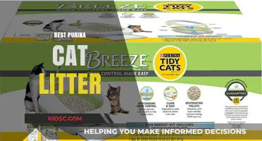Top Purina Cat Litter Options for a Clean and Odor-Free Home