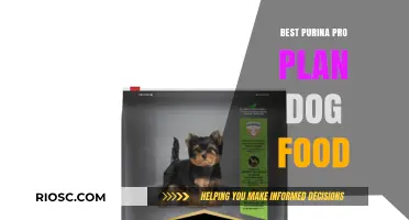 Top-Rated Purina Pro Plan Dog Food Options for Optimal Canine Health and Nutrition