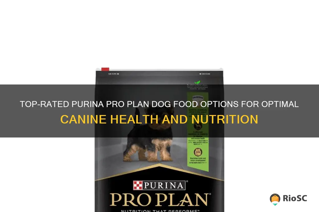 best purina pro plan dog food