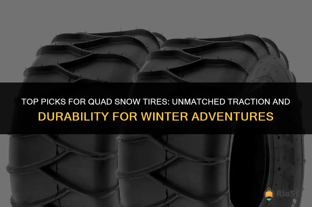 best quad snow tires
