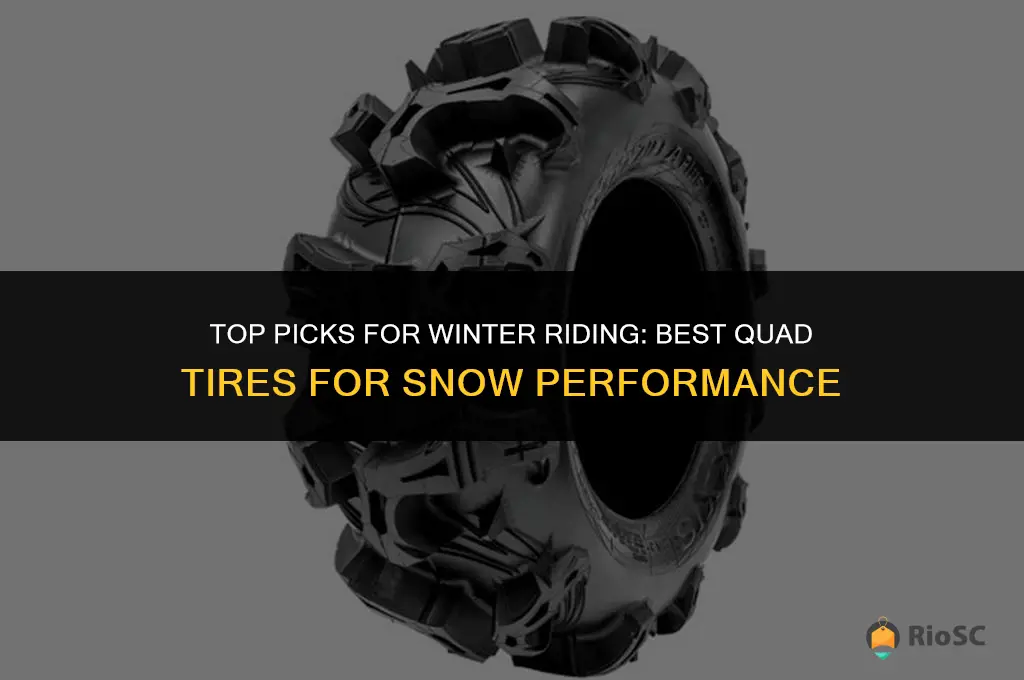best quad tires for snow