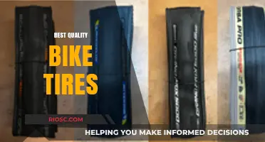 Top-Rated Bike Tires for Unmatched Performance and Durability