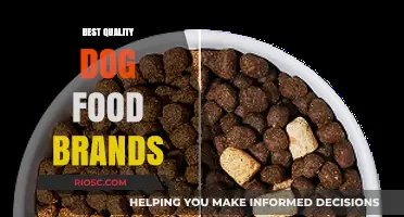 Top-Rated Dog Food Brands for Optimal Canine Health