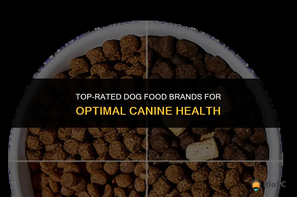 best quality dog food brands