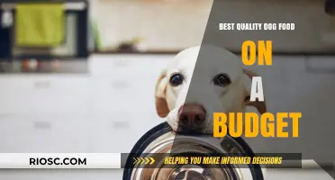 Affordable Excellence: Top-Quality Dog Food That Won’t Break the Bank