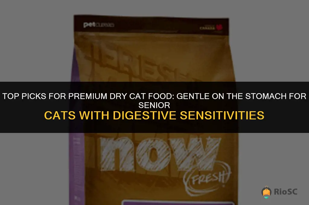 best quality dry cat food for older cats with diahhrea