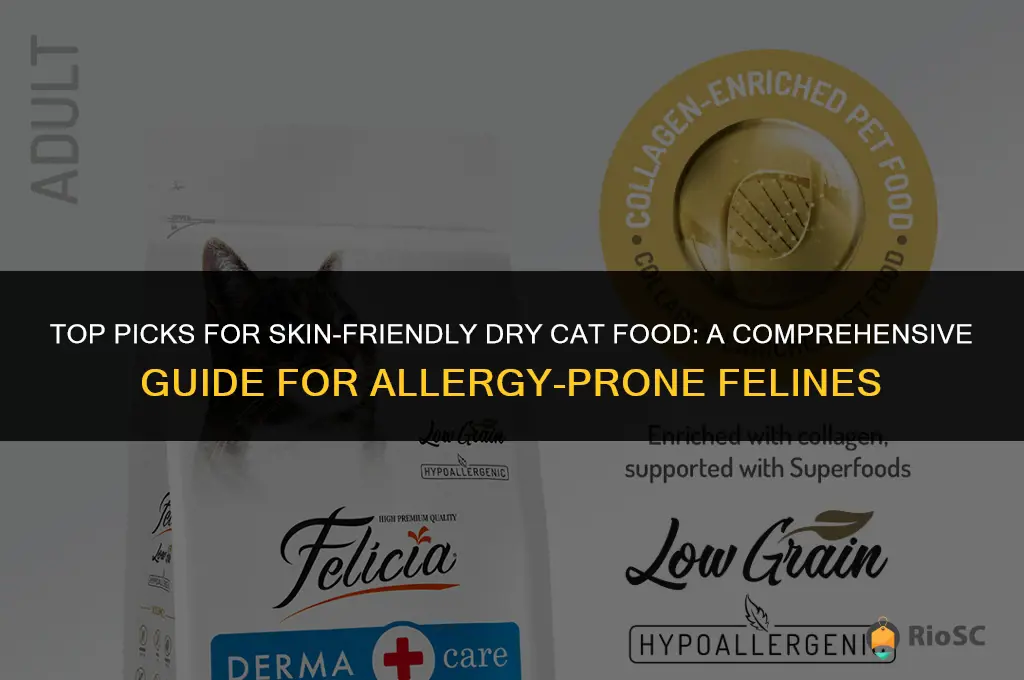 best quality dry cat food for skin allergies