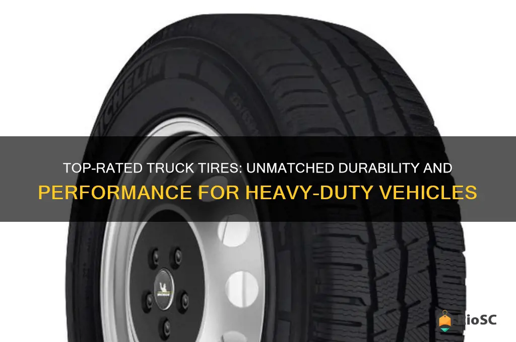 best quality tires for trucks