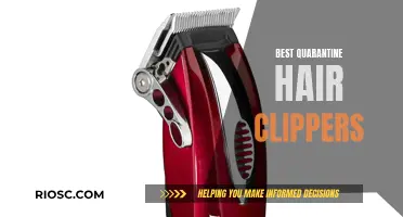 Clipper Conundrum: Finding the Best Quarantine Hair Clippers