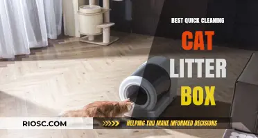 Effortless Maintenance: Top Quick-Cleaning Cat Litter Boxes for Busy Pet Owners