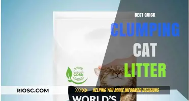 Top Picks for Fast-Acting Clumping Cat Litter: Keep Your Home Fresh and Clean