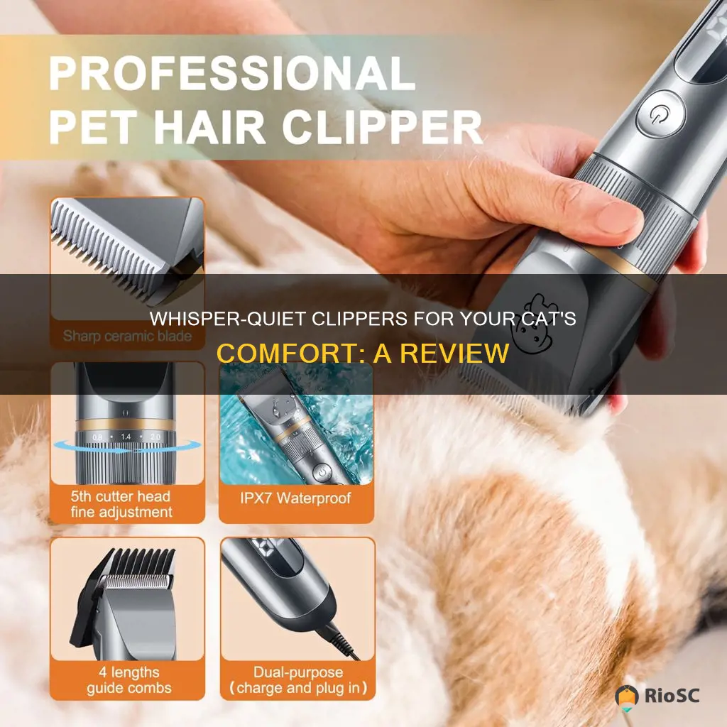 best quiet cat hair clippers