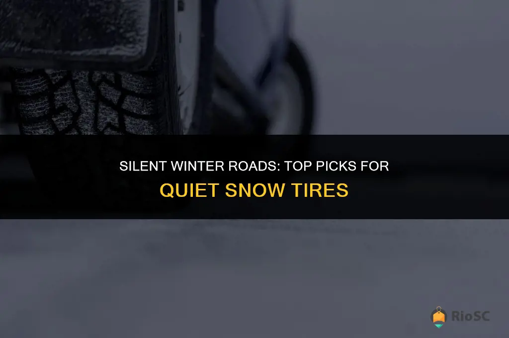 best quiet snow tires