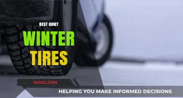 Silent Winter Roads: Top Quiet Tires for a Smooth and Hush Ride