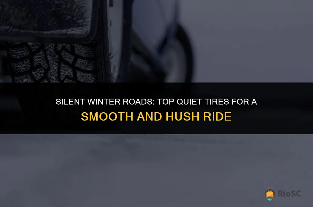 best quiet winter tires